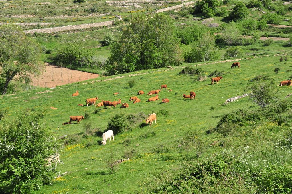 Casa Rural El Boixar - El Mirador Bojar ภายนอก รูปภาพ